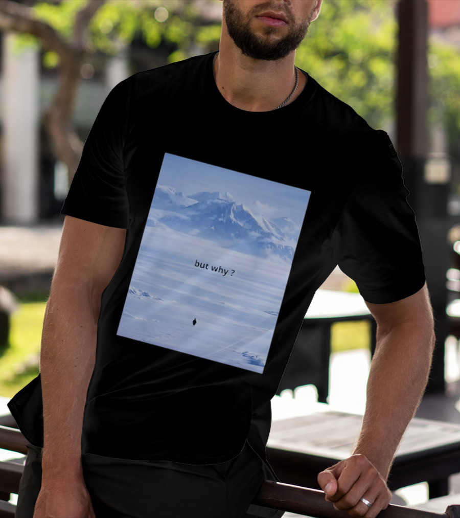 Penguin But Why Meme Snowy Mountains Motivational Scene T-Shirt