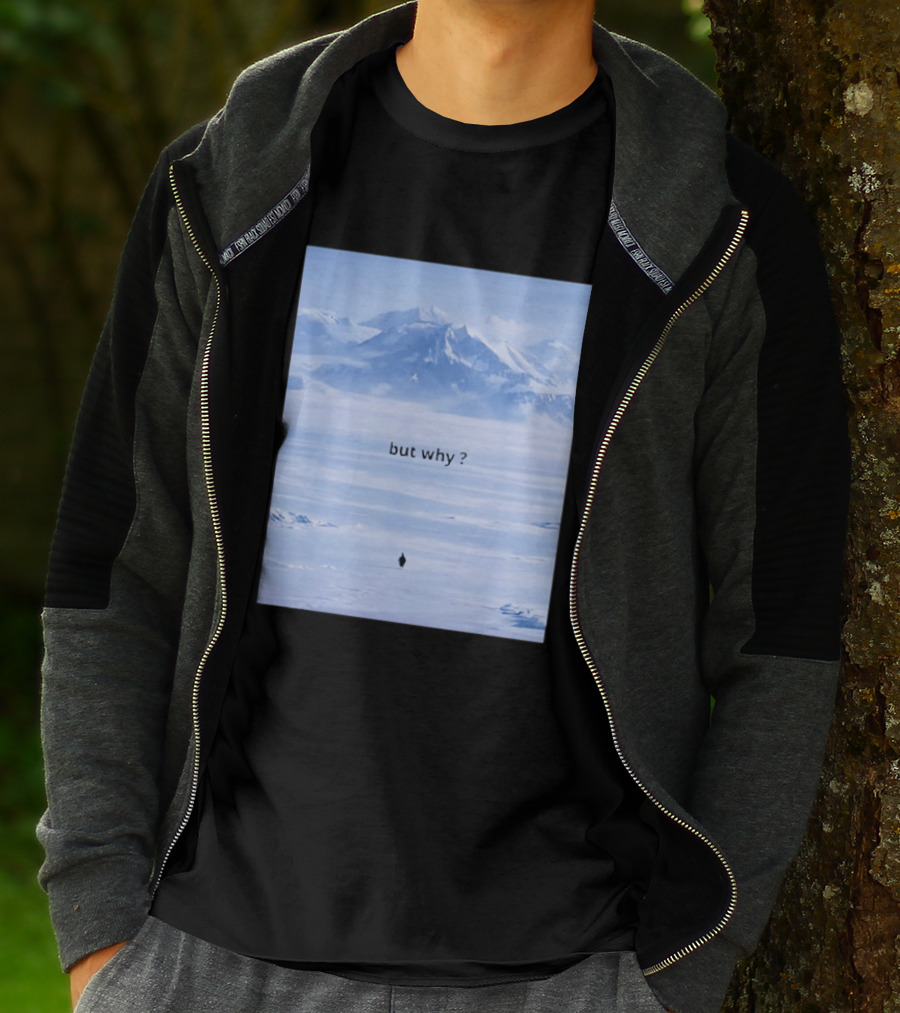 Penguin But Why Meme Snowy Mountains Motivational Scene T-Shirt