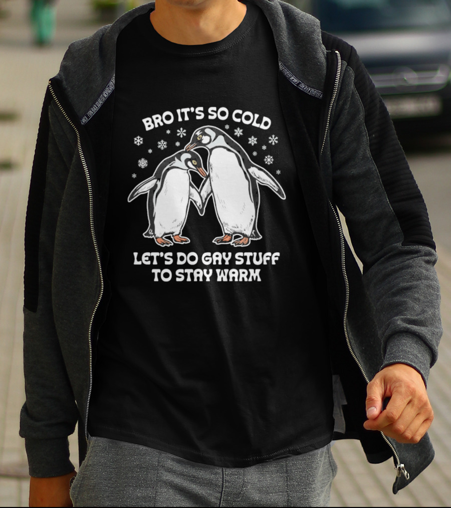 Bro It's So Cold Let's Do Gay Stuff To Stay Warm Penguins Snowflakes T-Shirt
