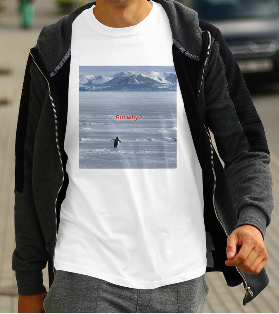 But Why Penguin Nihilist Scenic Antarctic Mountains T-Shirt