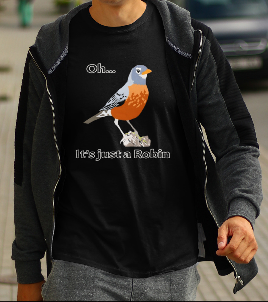 Oh It's Just A Robin Standing On Rock T-Shirt