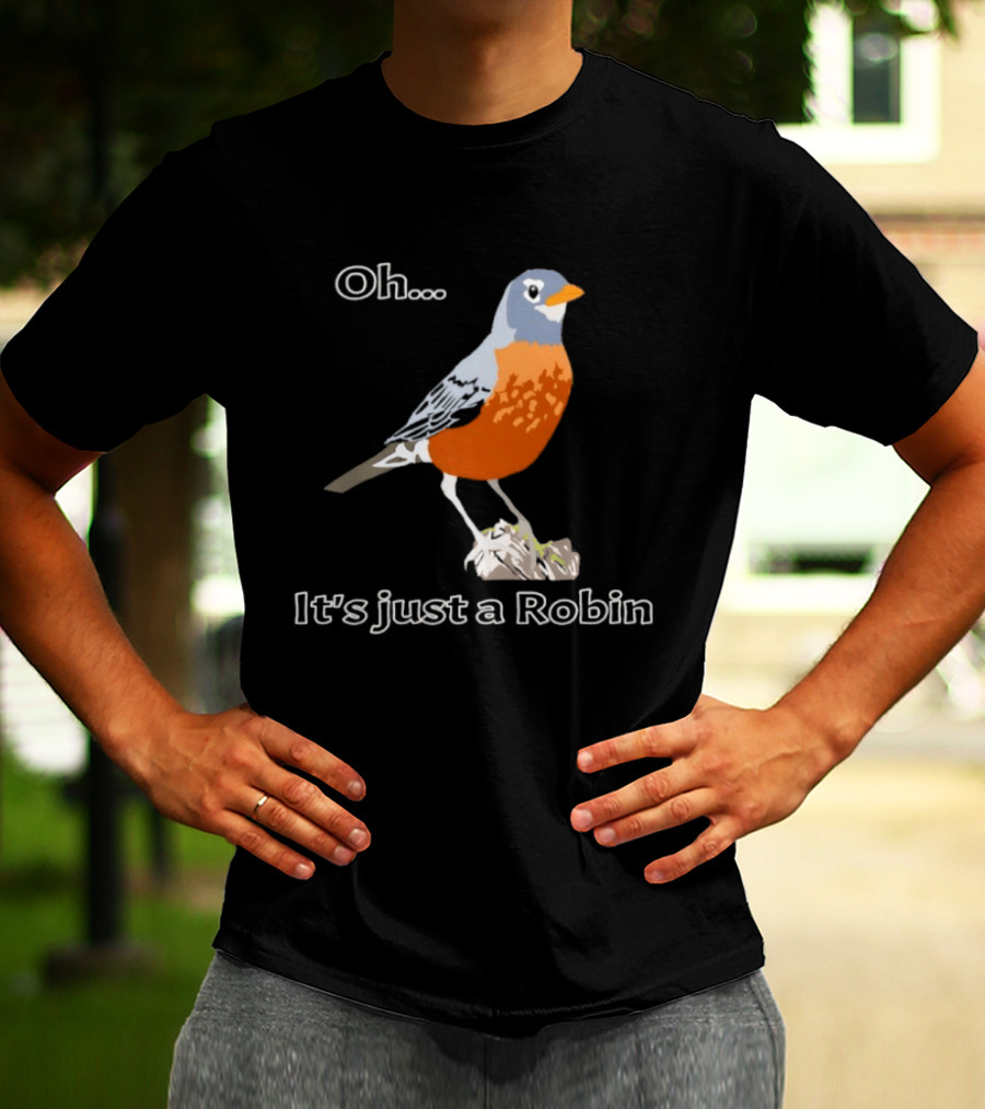 Oh It's Just A Robin Standing On Rock T-Shirt