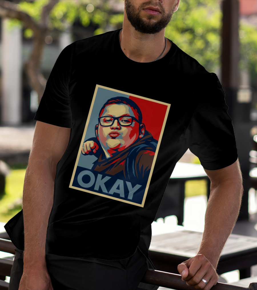 Okay Punch Kid Meme T-Shirt