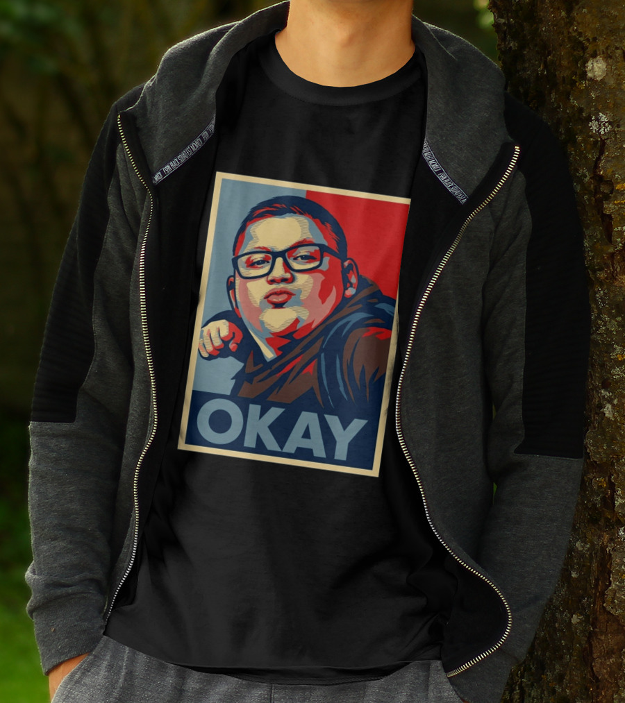 Okay Punch Kid Meme T-Shirt