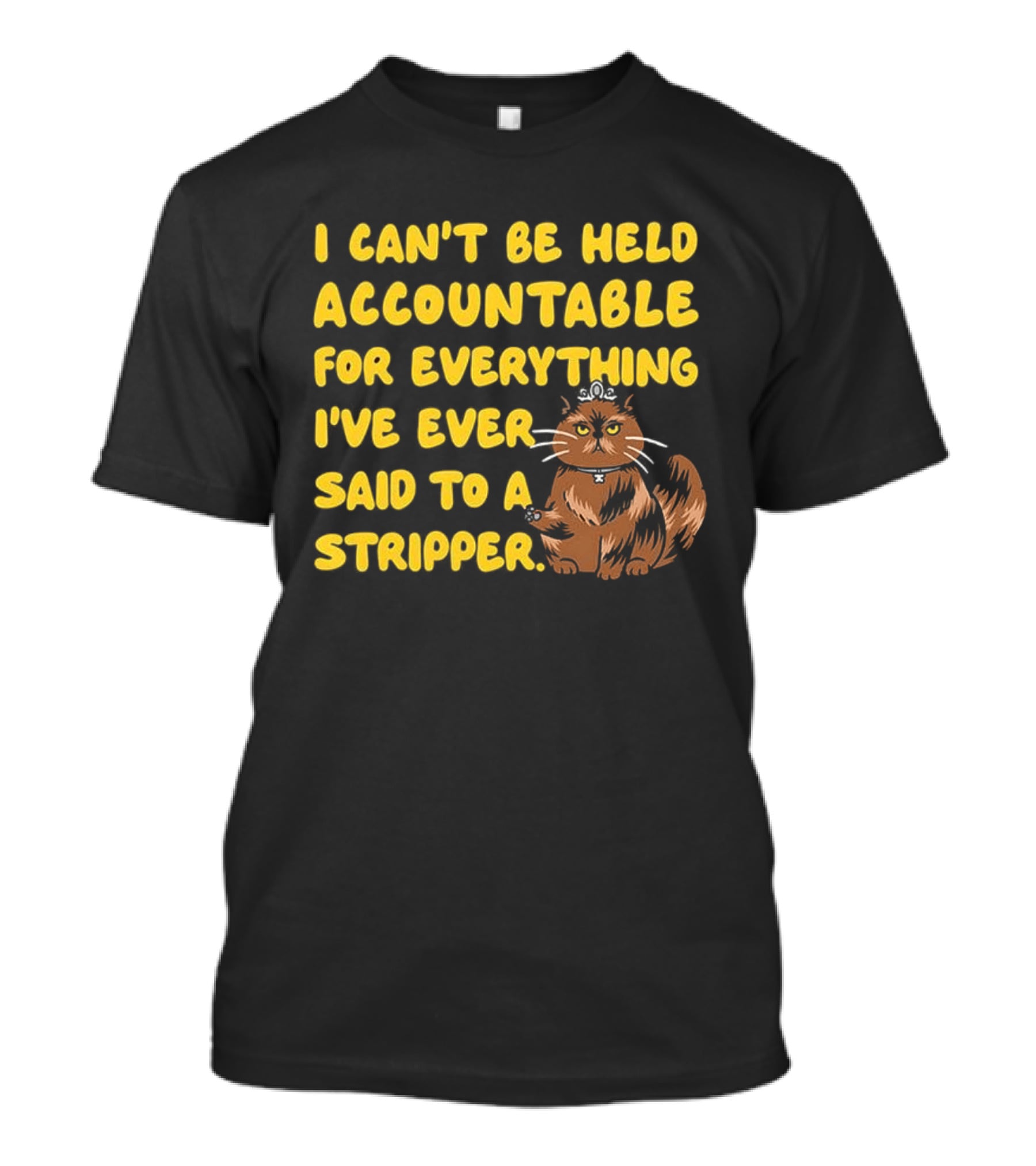 I Can't Be Held Accountable Cat Humor And Stripper T-Shirt