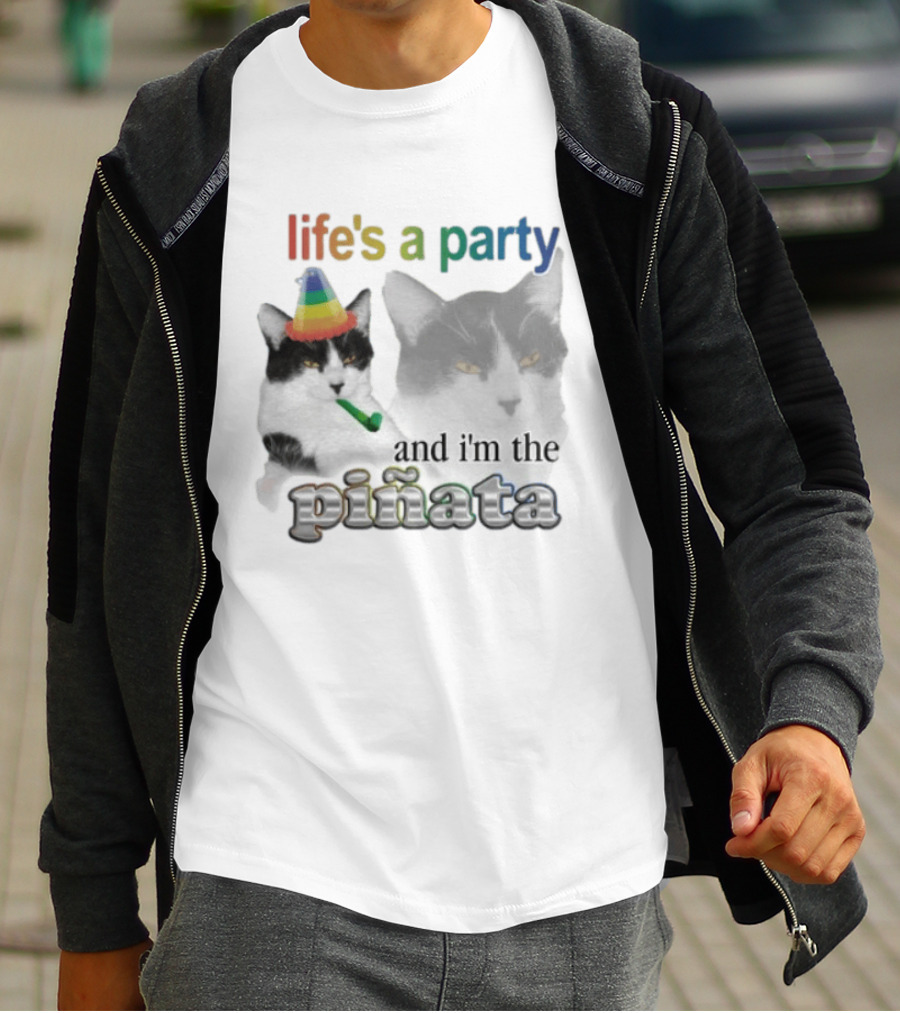 Life's A Party Cat I'm The Piñata Party Hat Humor T-Shirt