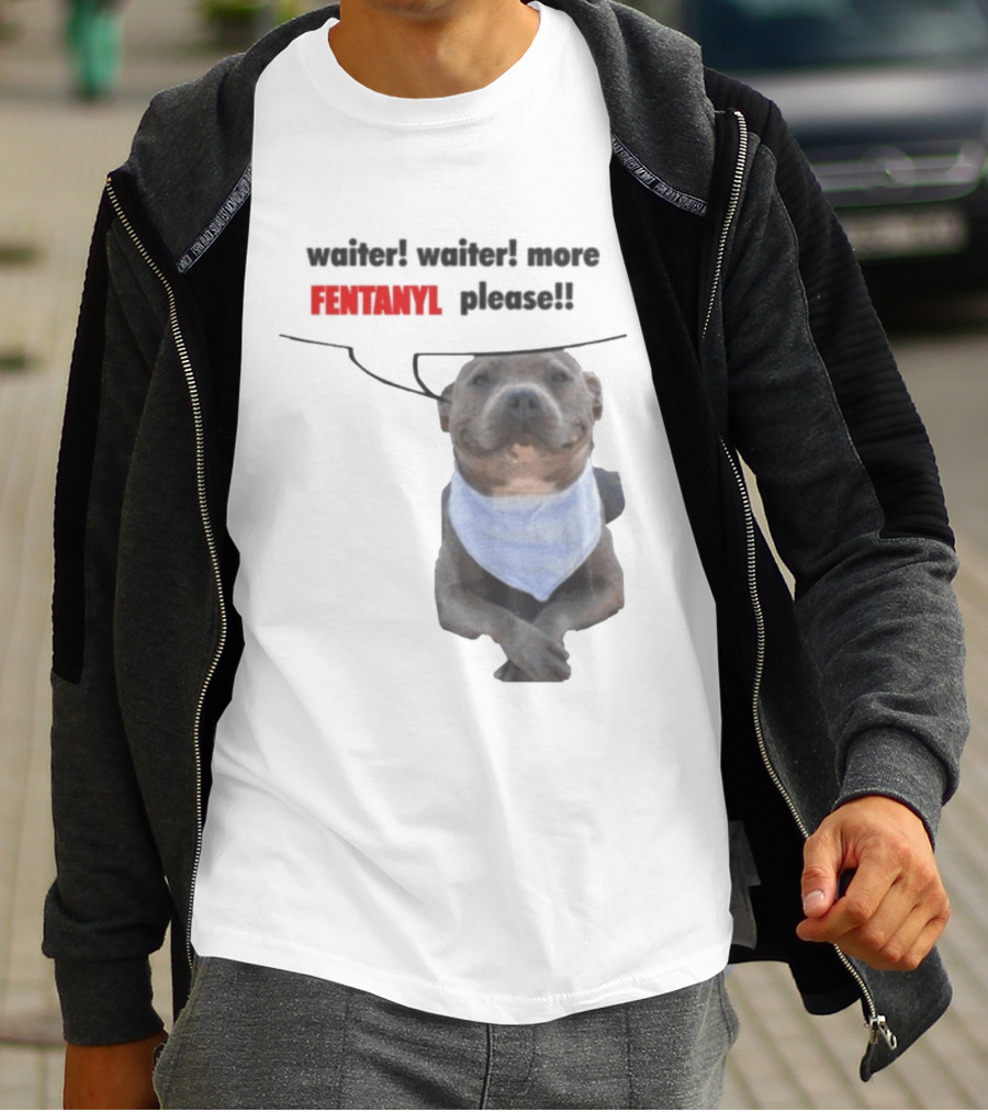 Waiter Waiter More Fentanyl Meme Dog Funny Please T-Shirt