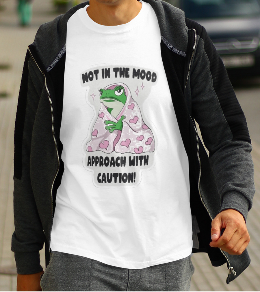 Not In The Mood Frog Wrapped In Blanket Approach With Caution T-Shirt