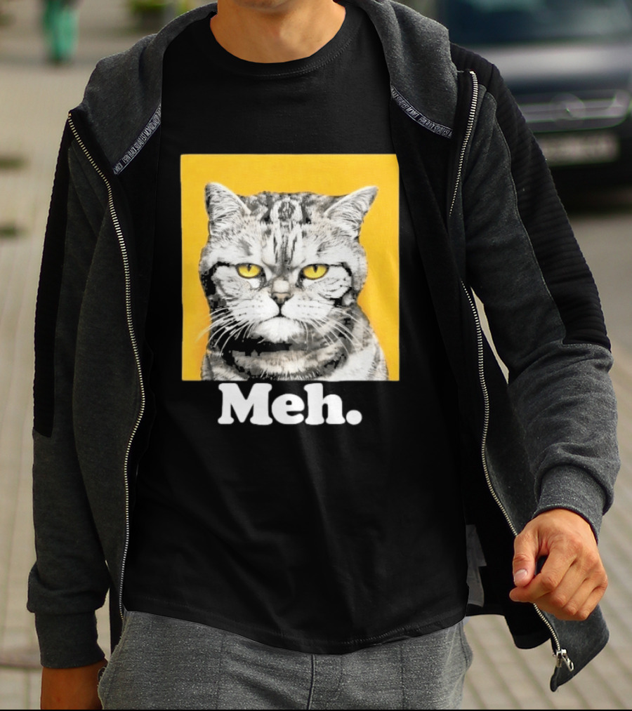 90 Day The Single Life Meh Cat T-Shirt
