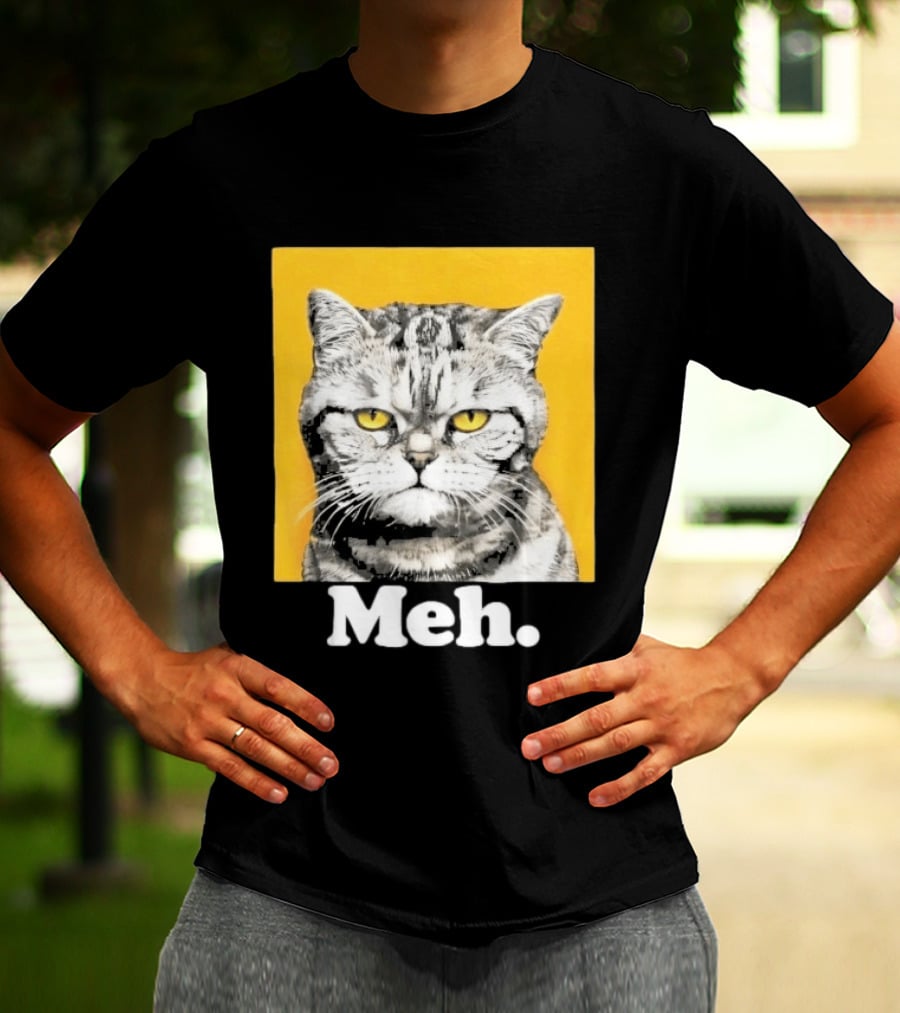 90 Day The Single Life Meh Cat T-Shirt