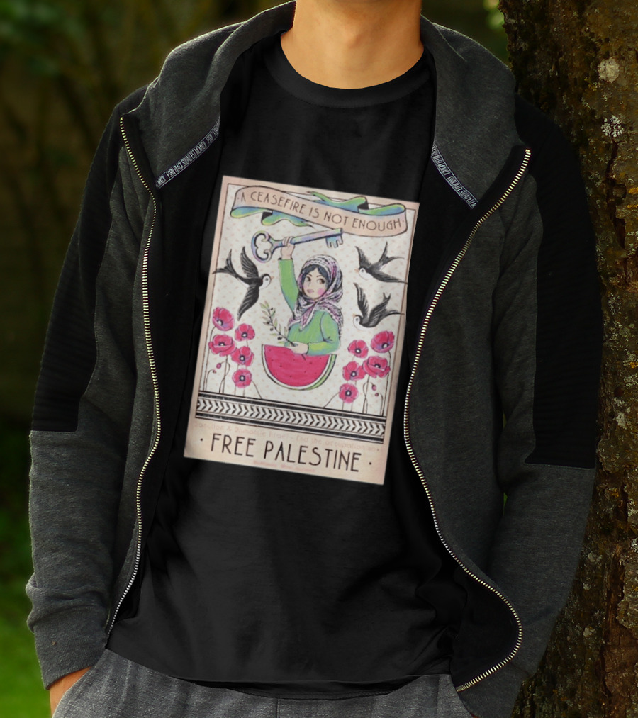 A Ceasefire Is Not Enough Free Palestine Sanction And Dismantle Israel End The Occupation Now T-Shirt