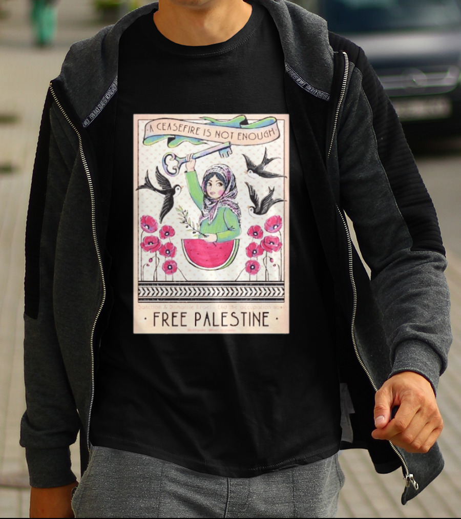 A Ceasefire Is Not Enough Free Palestine Sanction And Dismantle Israel End The Occupation Now T-Shirt