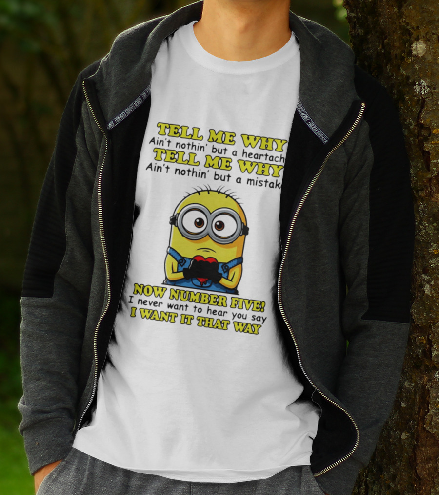 Tell Me Why Ain't Nothin' But A Heartache Mistake Minion I Want It That Way Number Five T-Shirt