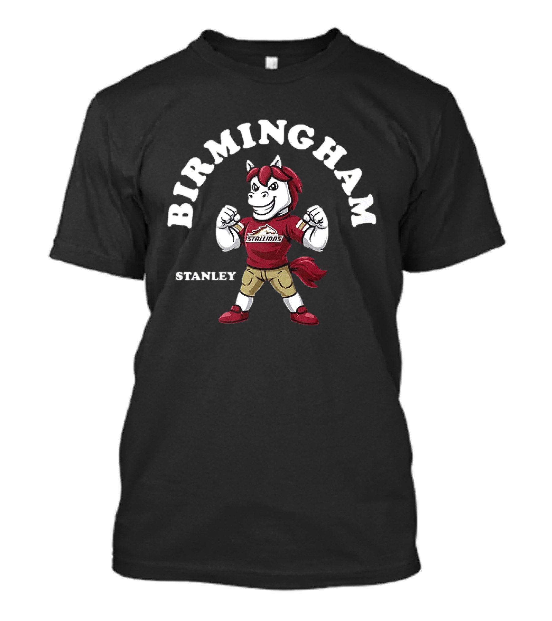 Birmingham Stallions Stanley Football 2026 T-Shirt