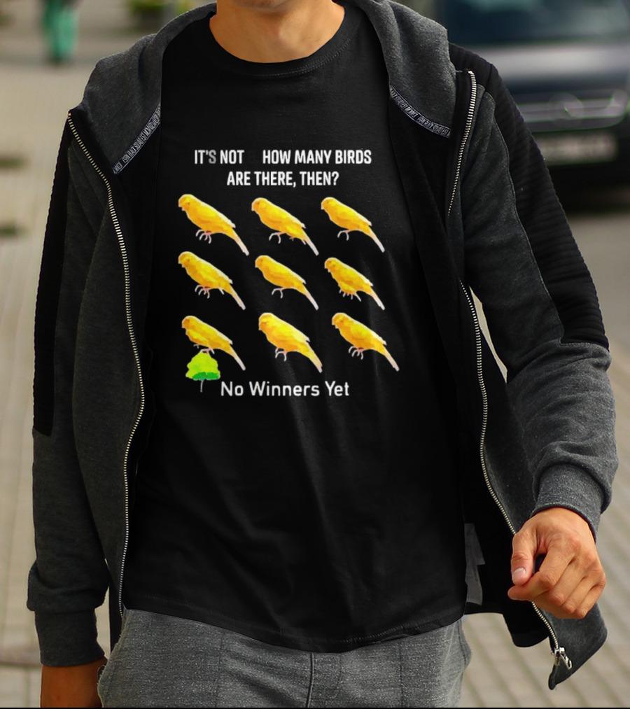 It's Not 9 How Many Birds Are There Then No Winners Yet T-Shirt