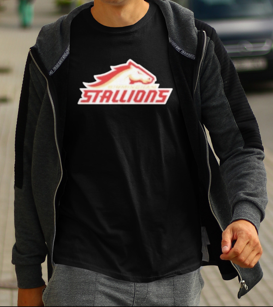 Mintzy Birmingham Stallions Team T-Shirt