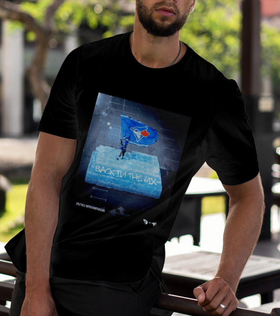 Toronto Blue Jays Back In The 6ix Ice Flag And Blocks T-Shirt
