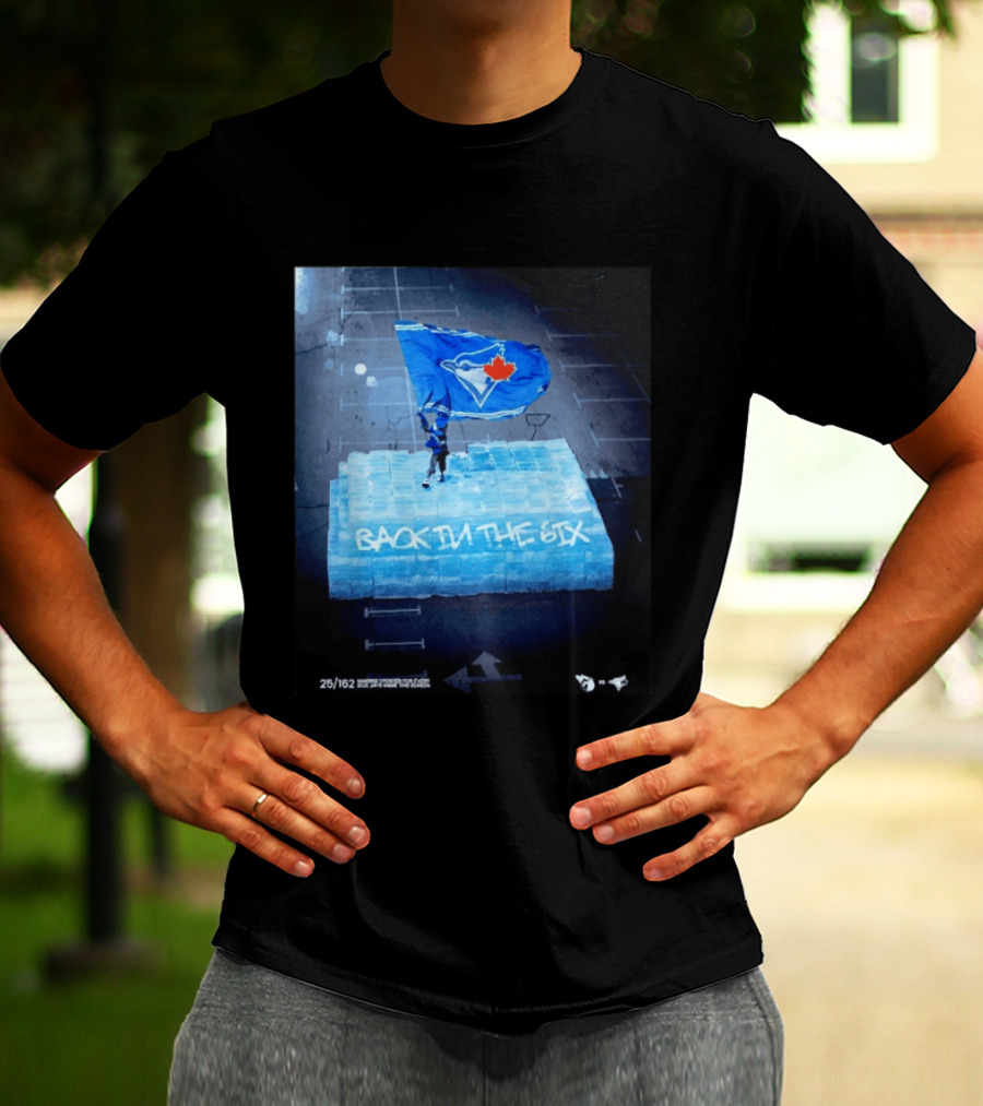 Toronto Blue Jays Back In The 6ix Ice Flag And Blocks T-Shirt