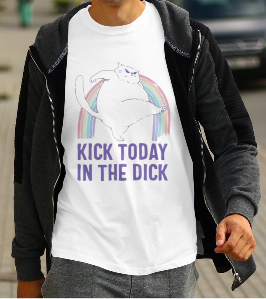 Kick Today In The Dick Rainbow Cat T-Shirt
