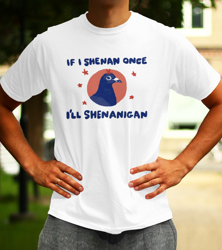 If I Shenan Once I'll Shenanigan Funny Pigeon Humor T-Shirt