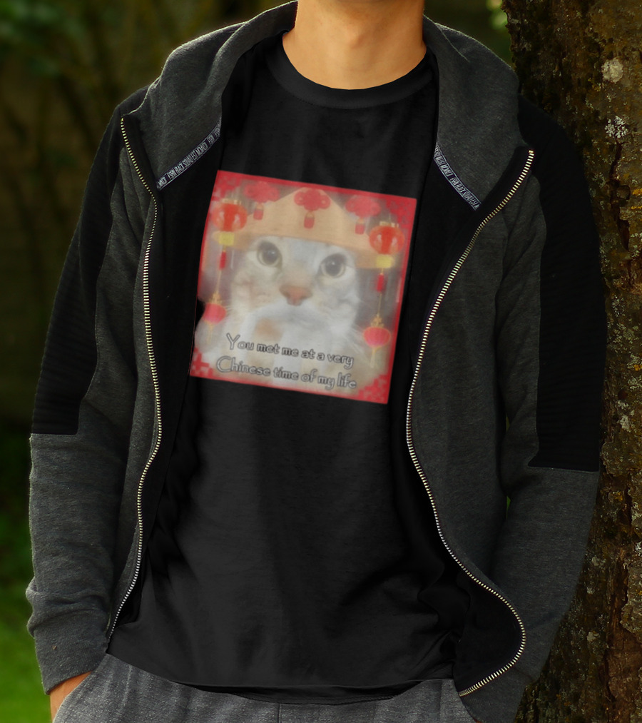 You Met Me At A Very Chinese Time Of My Life Cat Lanterns Hat T-Shirt