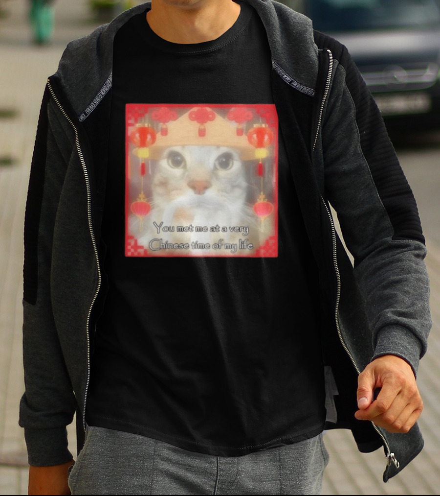 You Met Me At A Very Chinese Time Of My Life Cat Lanterns Hat T-Shirt