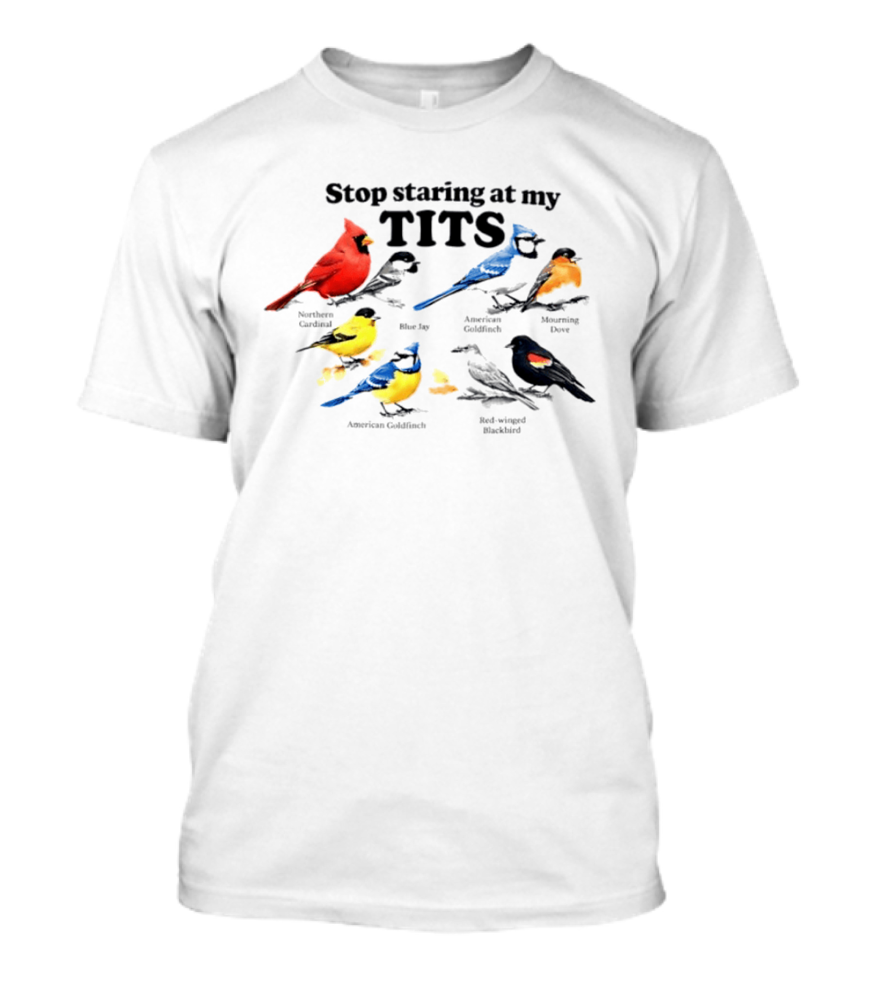 Stop Staring At My Tits Northern Cardinal Blue Jay American Goldfinch Mourning Dove Red Winged Blackbird T-Shirt