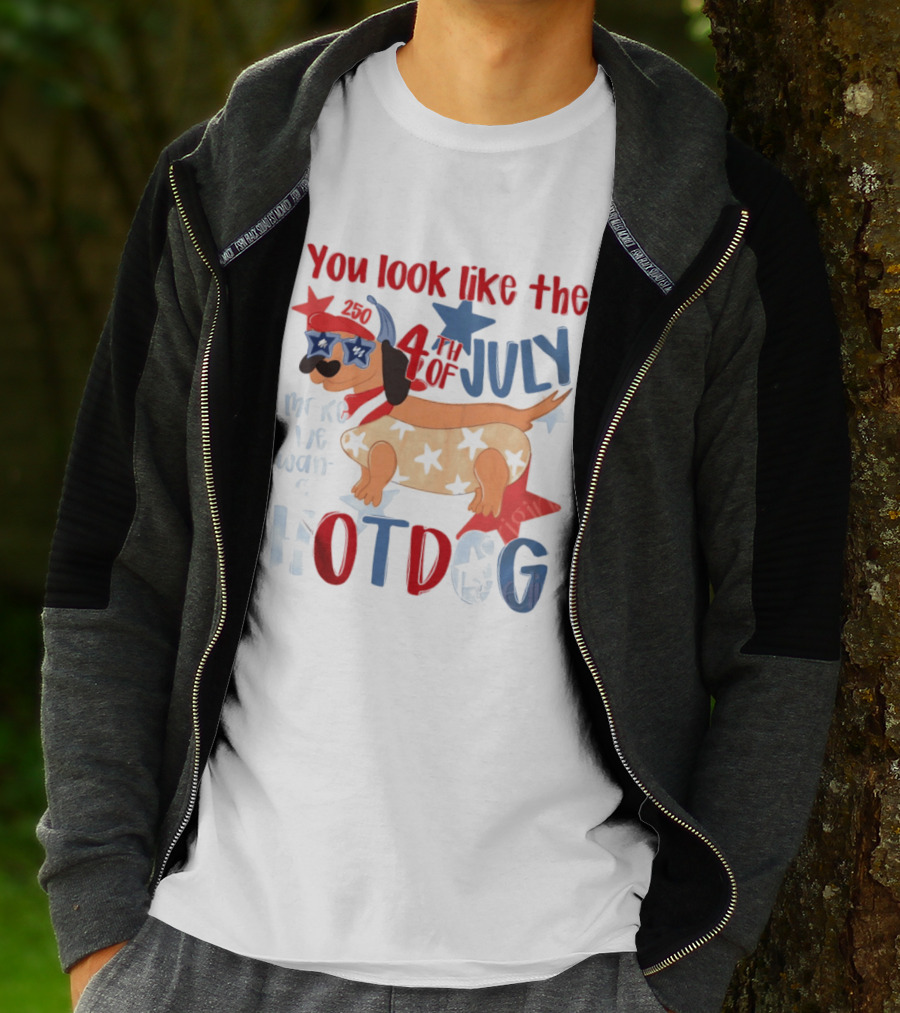 You Look Like The 4th Of July Make Me Want A Hotdog 2020 Dog Star Hat T-Shirt