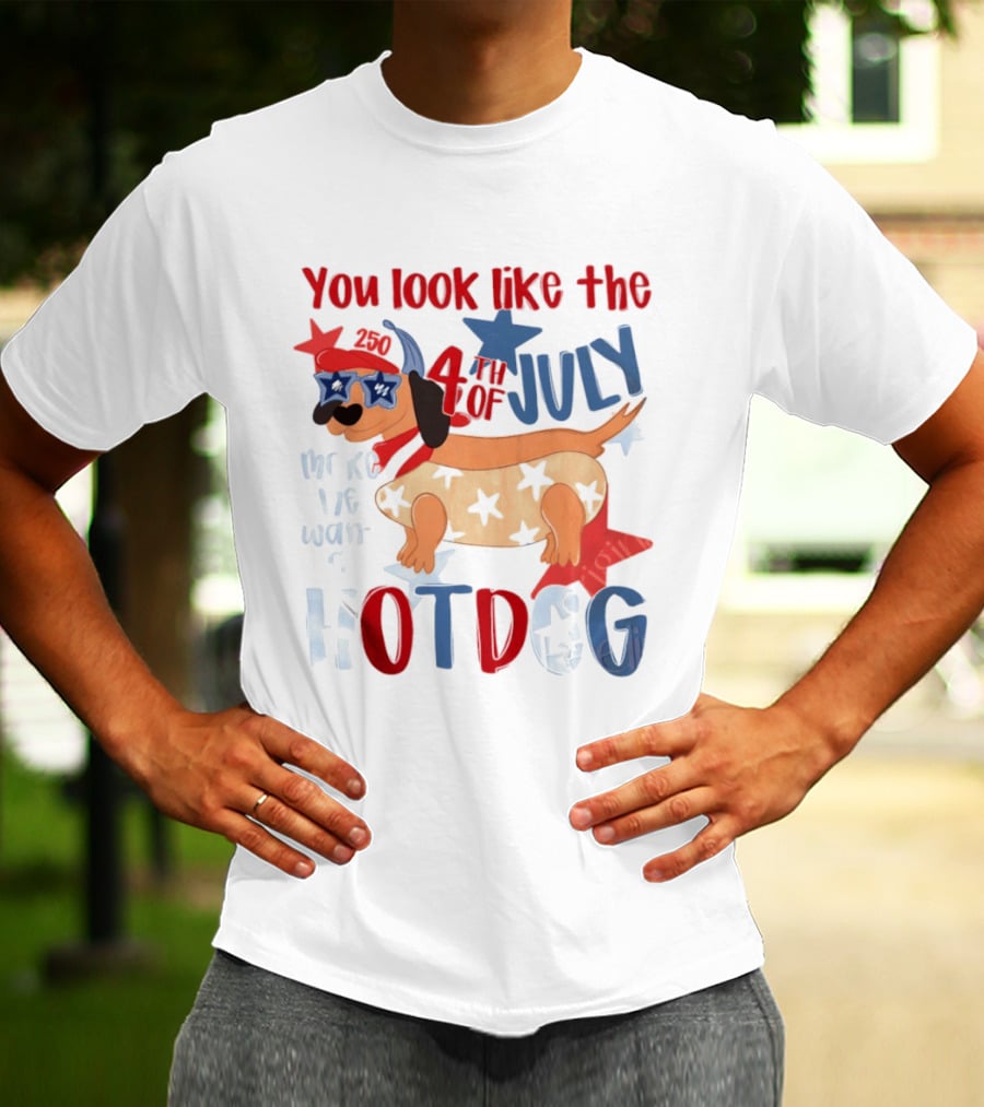 You Look Like The 4th Of July Make Me Want A Hotdog 2020 Dog Star Hat T-Shirt
