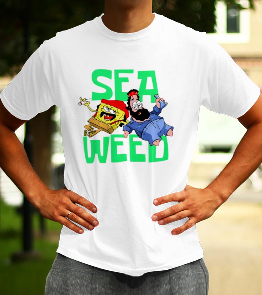 Sea Weed Sponge And Bearded Duo Cartoon Characters T-Shirt