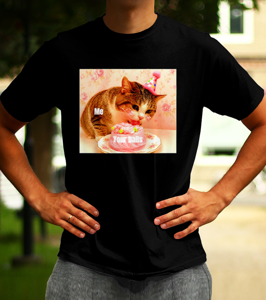 Me Your Balls Cat Eating Cake Party Hat T-Shirt