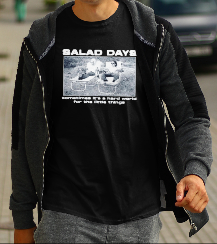 SALAD DAYS Sometimes It's A Hard World For The Little Things Vintage Lounge Chair Image T-Shirt