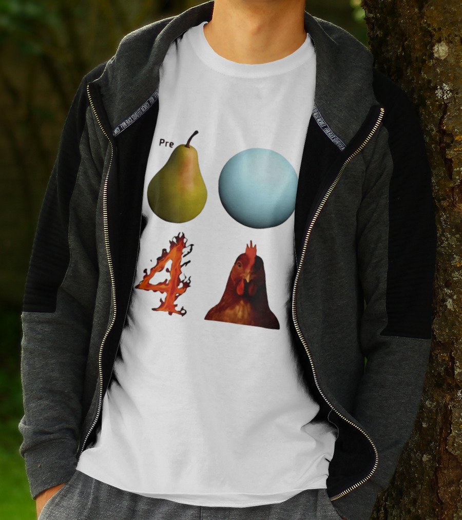 Prepare Pear Sphere Flame 4 Chicken T-Shirt