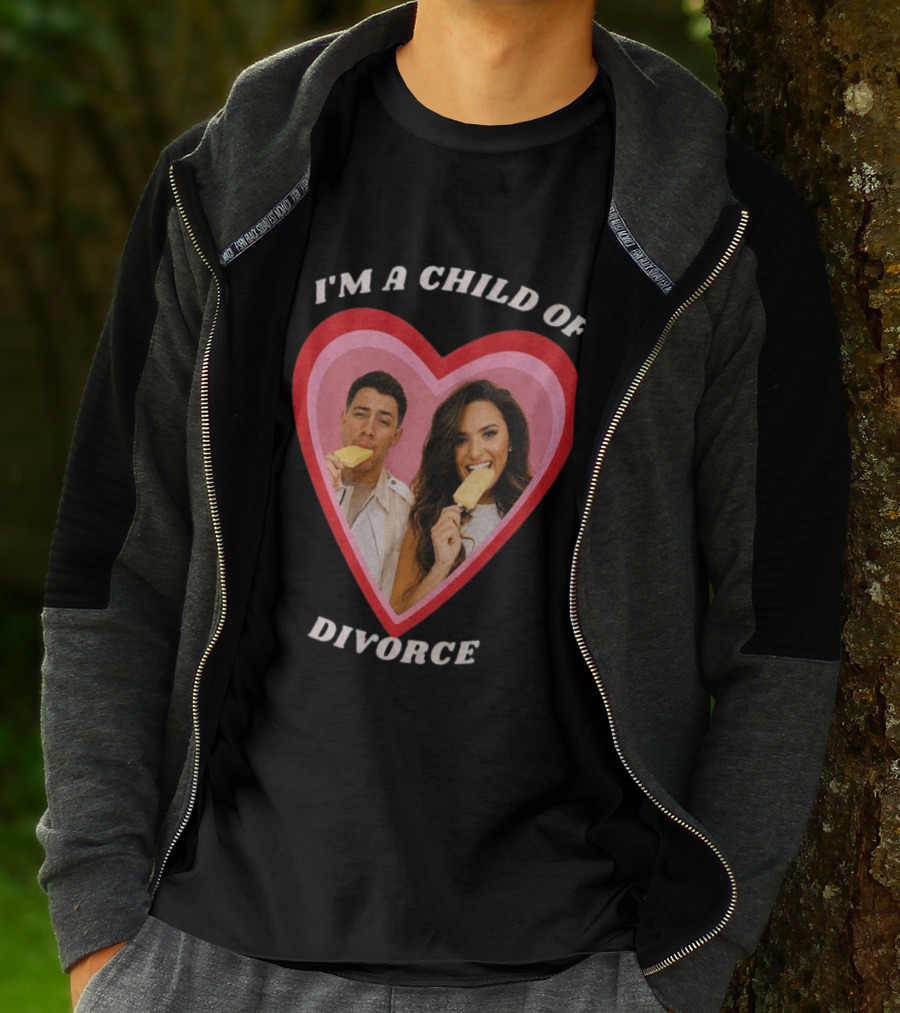 I'm A Child Of Divorce Nick Jonas Demi Lovato Heart Popsicle Image T-Shirt
