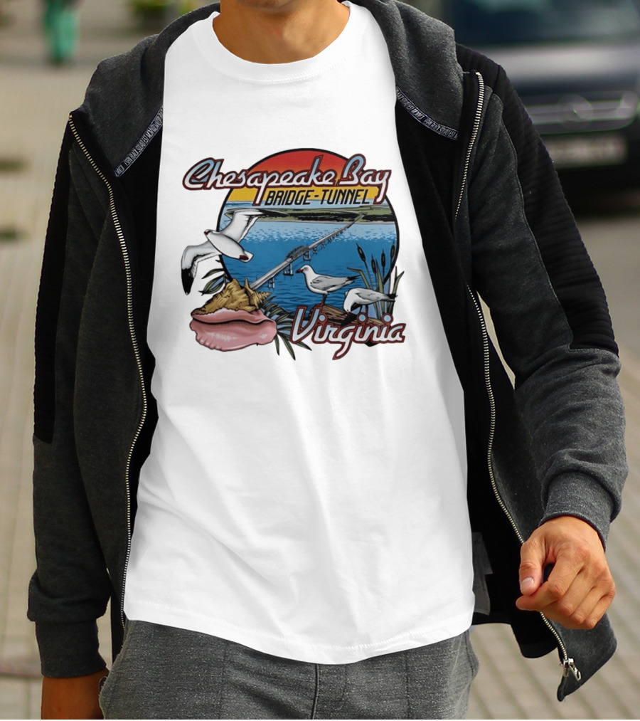 Chesapeake Bay Bridge Tunnel Virginia Seagulls Sunset Scene T-Shirt
