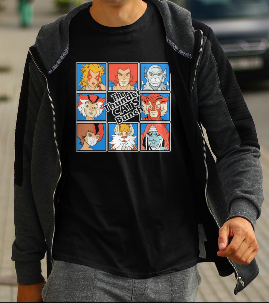 The ThunderCats Bunch Characters Classic Cartoon Collaboration T-Shirt