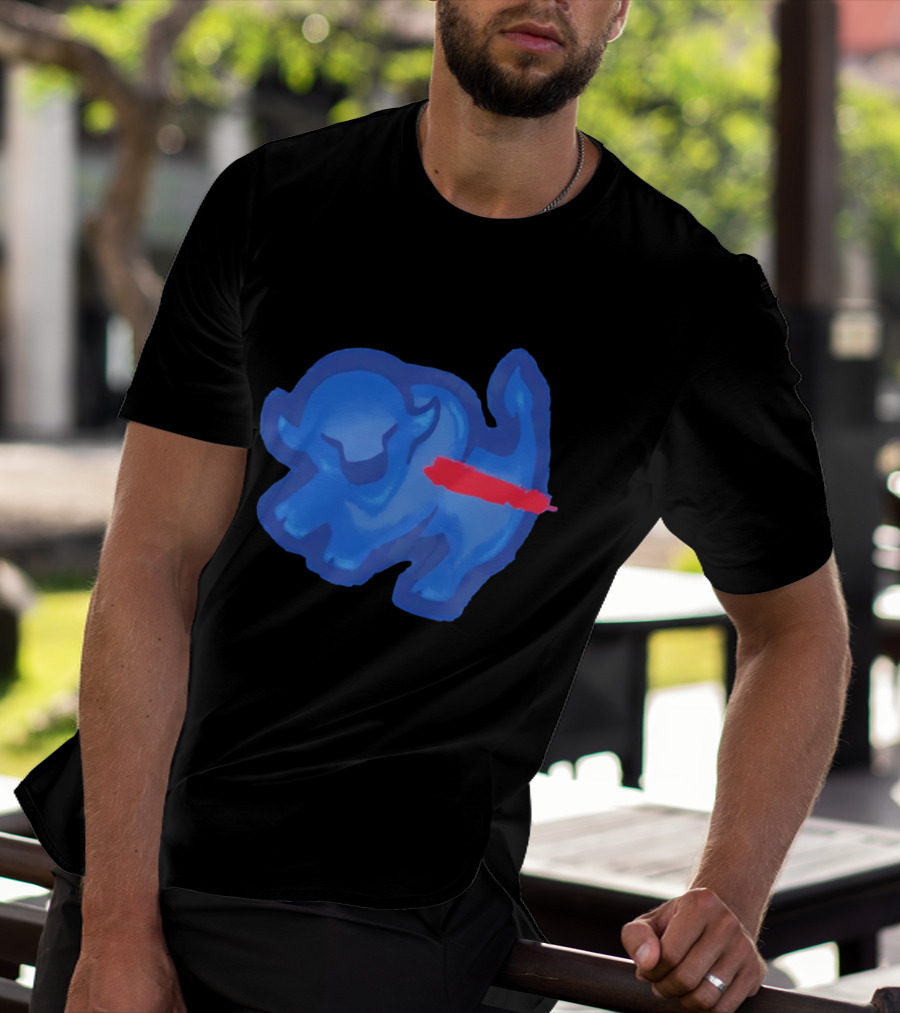 Bison King Buffalo Bills 2026 Football Team Spirit T-Shirt