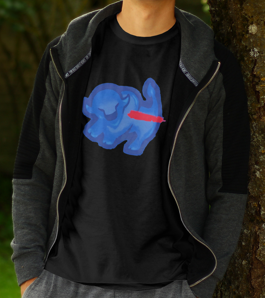 Bison King Buffalo Bills 2026 Football Team Spirit T-Shirt