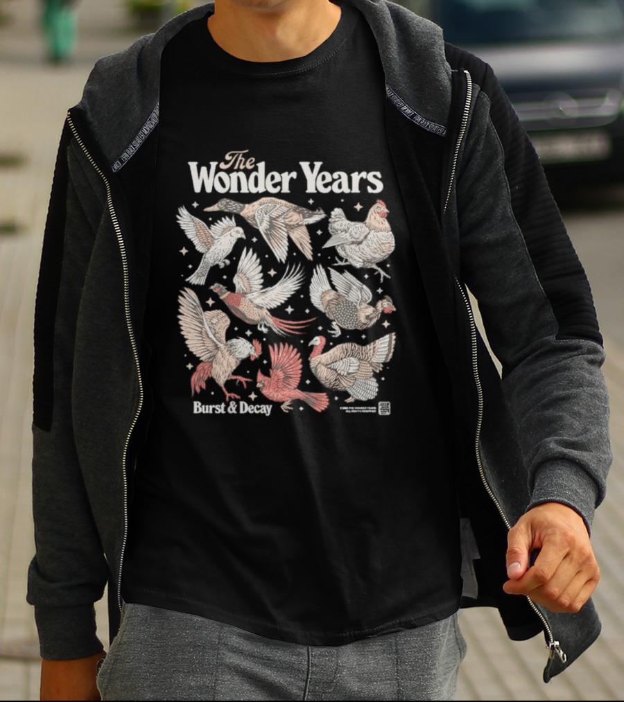 The Wonder Years Burst Decay Birds Vintage Aesthetic T-Shirt