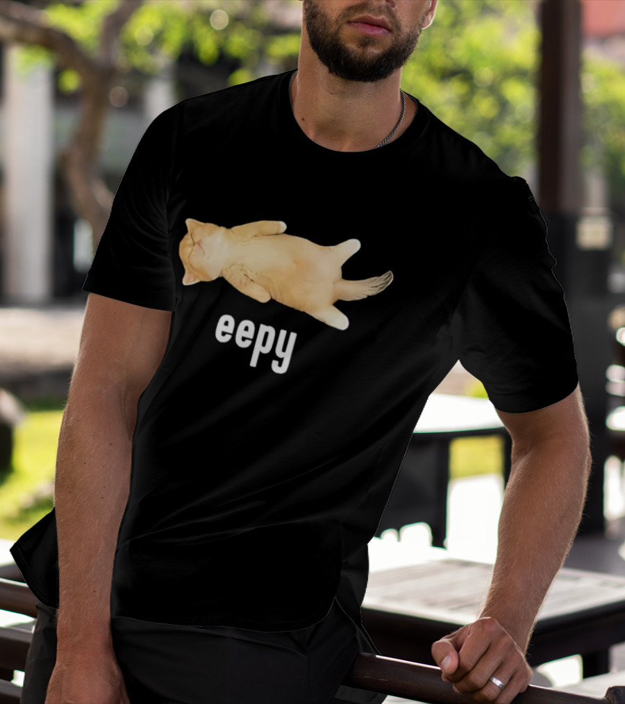 Eepy Sleeping Orange Kitten Cat Meme T-Shirt