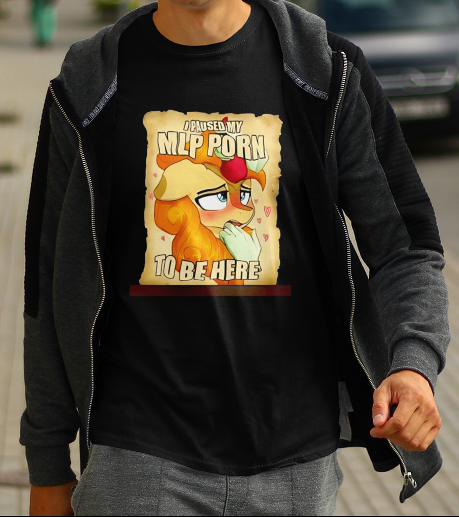 I Paused My MLP Porn To Be Here My Little Pony T-Shirt