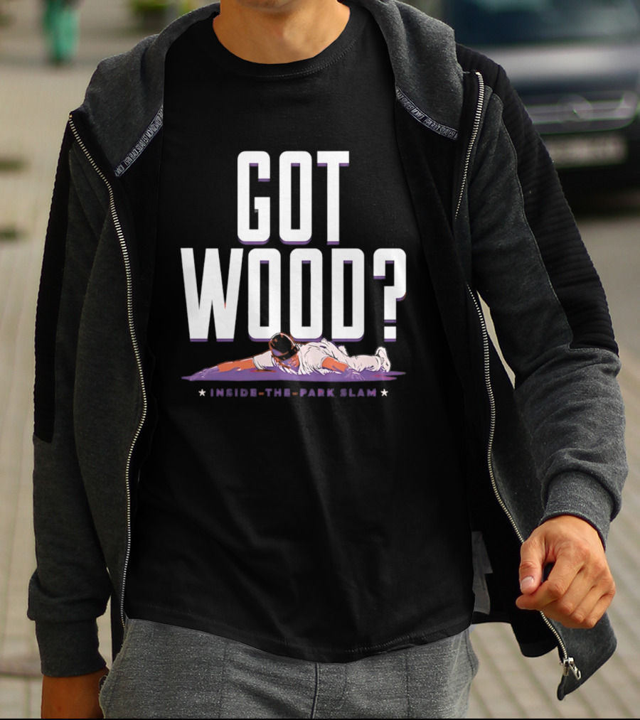 Washington Nationals Baseball Got Wood Inside The Park Slam T-Shirt