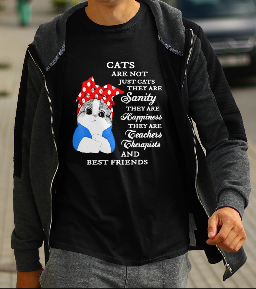 Cats Are Not Just Cats They Are Sanity Happiness Teachers Therapists Best Friends T-Shirt