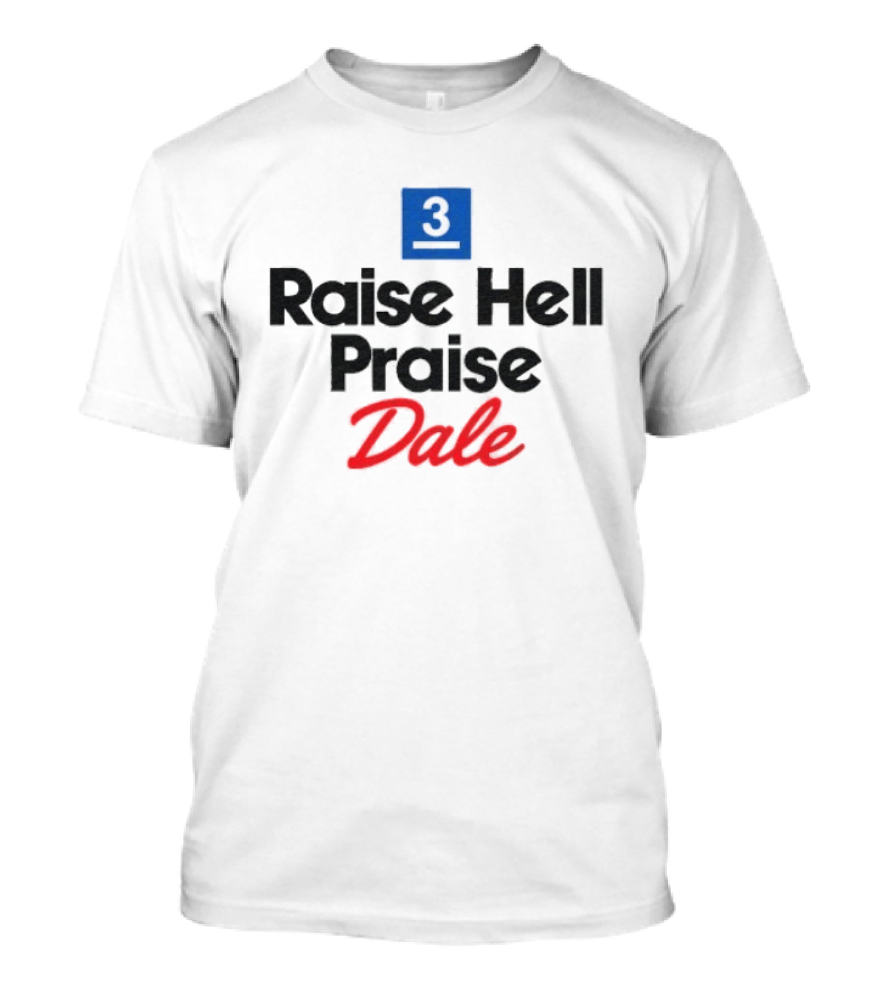 Dale Earnhardt No 3 Raise Hell Praise Dale Vintage Racing Fan T-Shirt