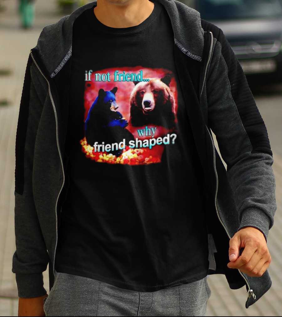 If Not Friend Why Friend Shaped Bear With Two Bears T-Shirt