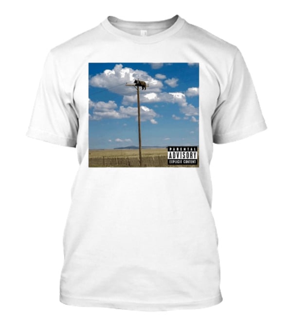Bear On Top Of The Light Pole Parental Advisory Explicit Content Clouds Sky T-Shirt