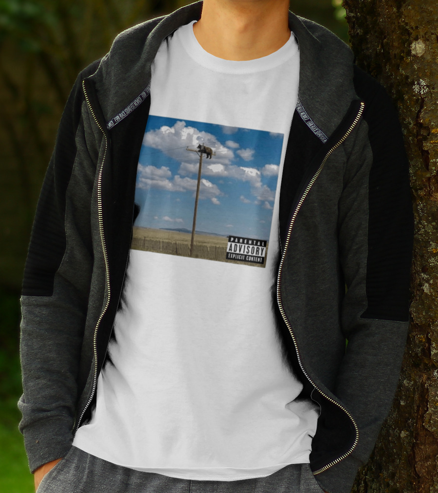 Bear On Top Of The Light Pole Parental Advisory Explicit Content Clouds Sky T-Shirt