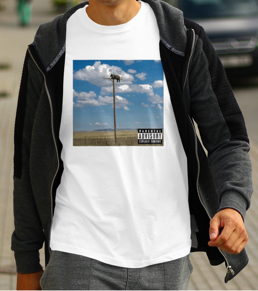 Bear On Top Of The Light Pole Parental Advisory Explicit Content Clouds Sky T-Shirt
