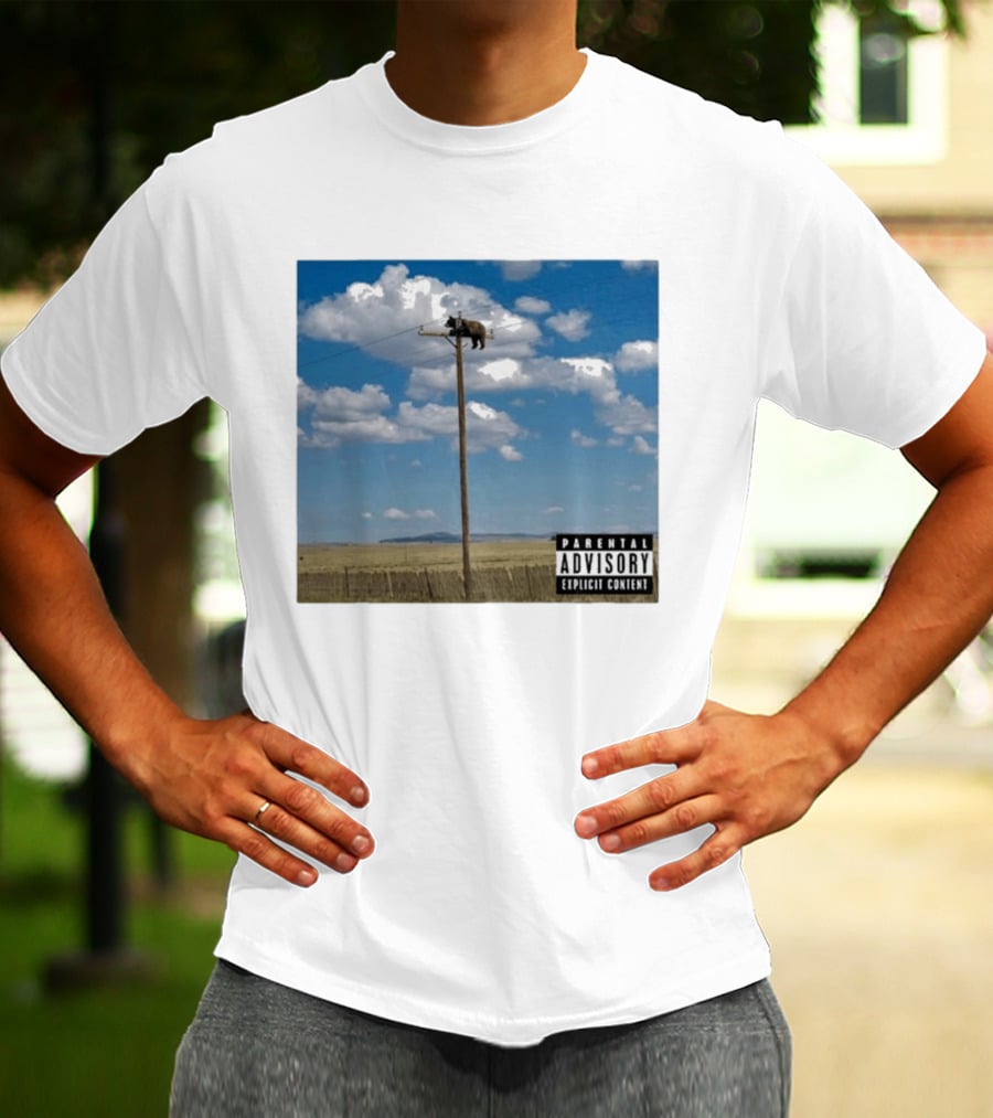 Bear On Top Of The Light Pole Parental Advisory Explicit Content Clouds Sky T-Shirt