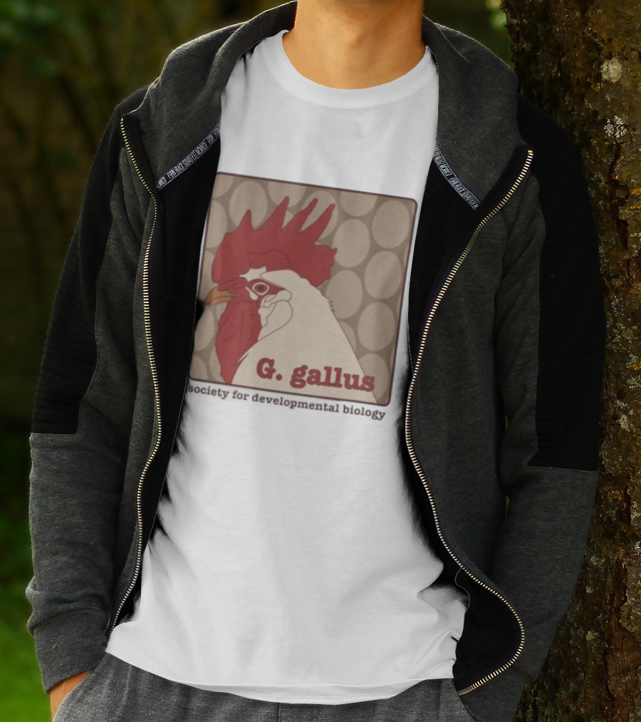 G Gallus Society For Developmental Biology Chicken Rooster Oval T-Shirt